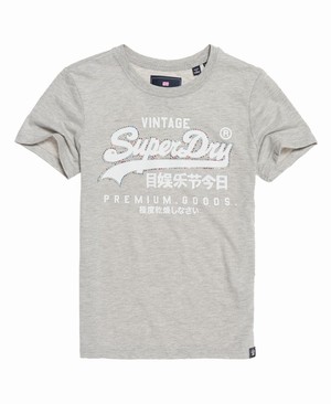 Superdry Premium Goods Rhinestone Cracked Print Női Pólók Szürke | HOKLE8630